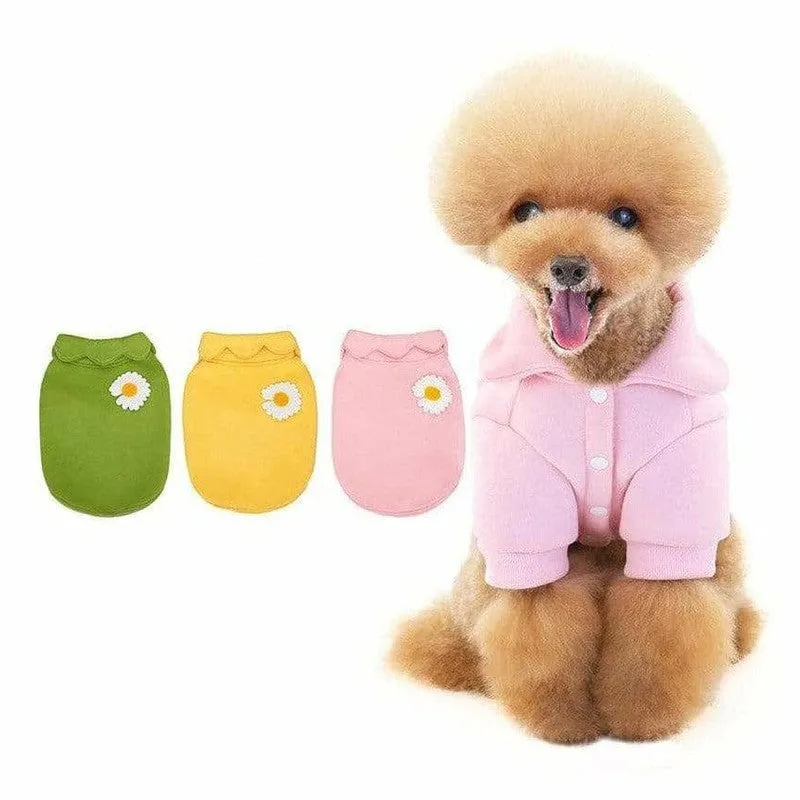 dog clothes Green L KLN20014