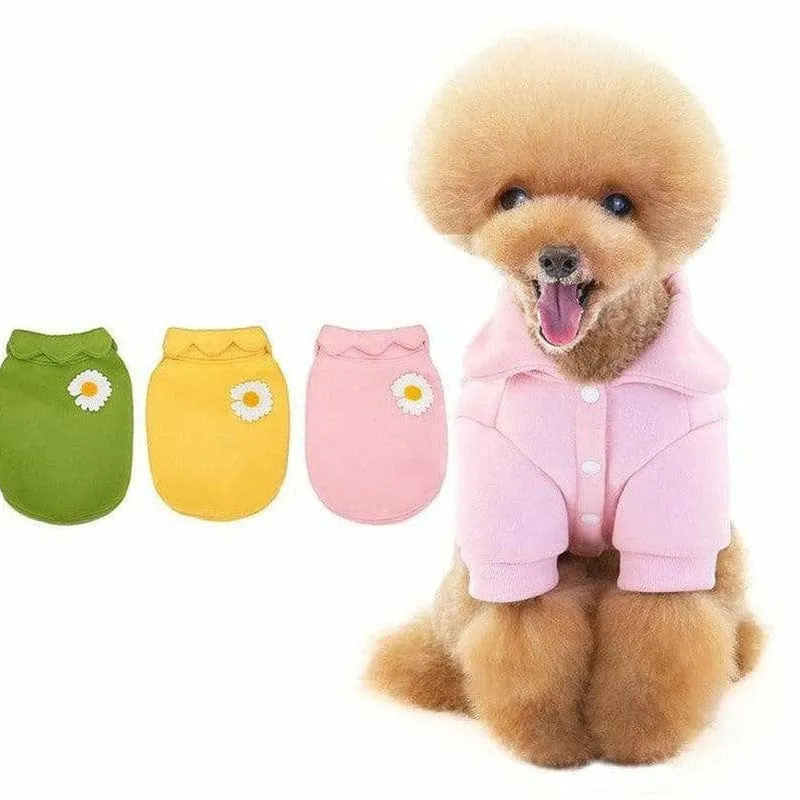 dog clothes Yellow M KLN20014