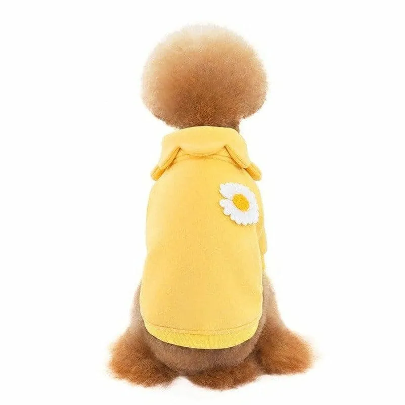 dog clothes Yellow M KLN20014